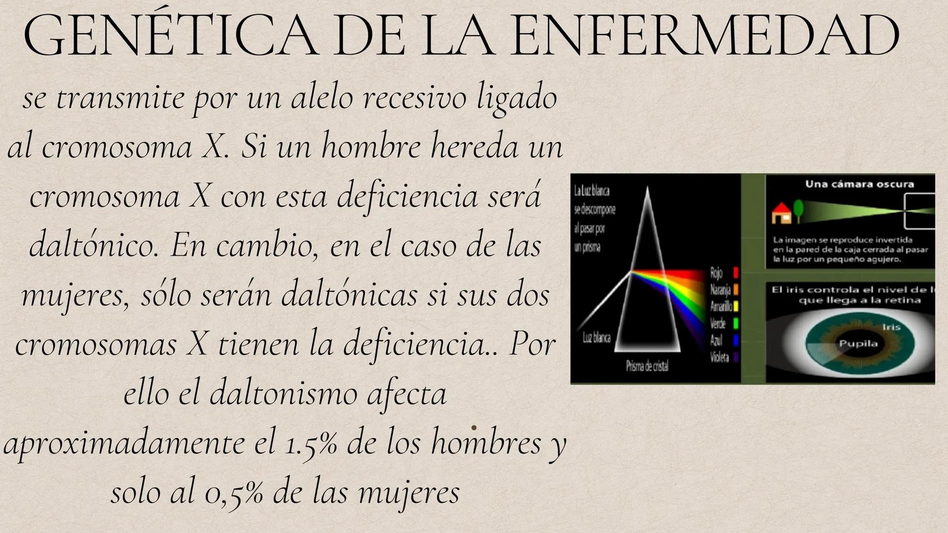 DALTONISMO ¿Origen o causas de la enfermedad.?
Si una persona carece solamente de un pigmento, podría
tener problemas para establecer la dif