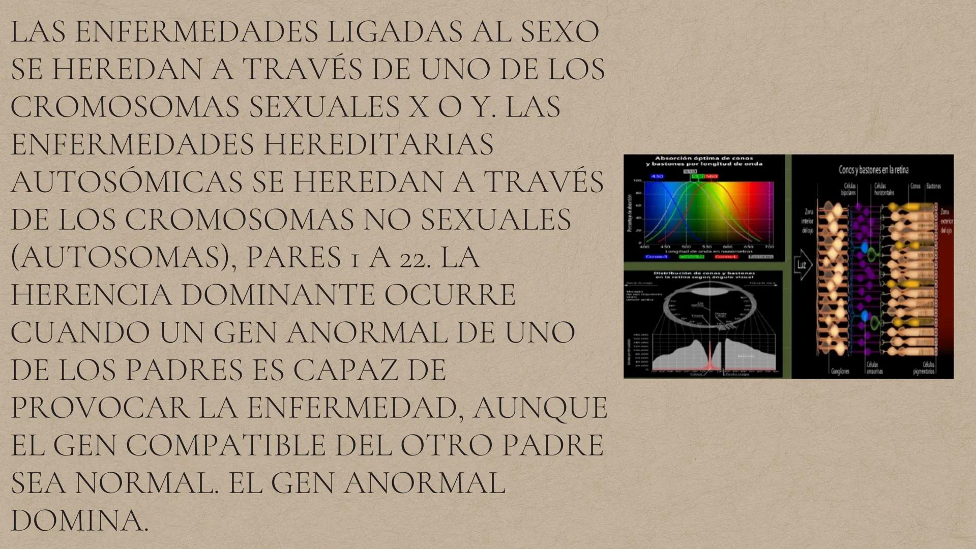DALTONISMO ¿Origen o causas de la enfermedad.?
Si una persona carece solamente de un pigmento, podría
tener problemas para establecer la dif