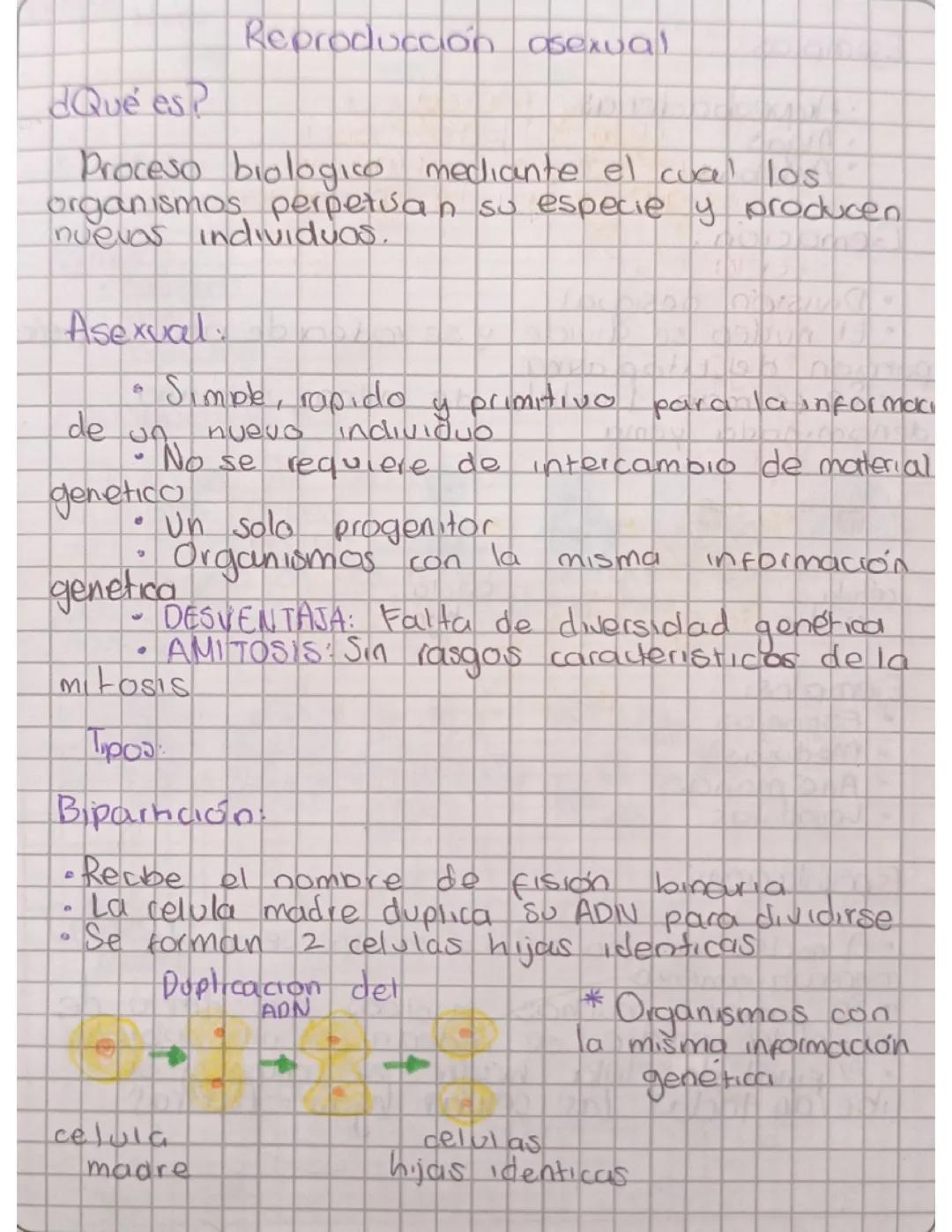 Reproducción asexual 