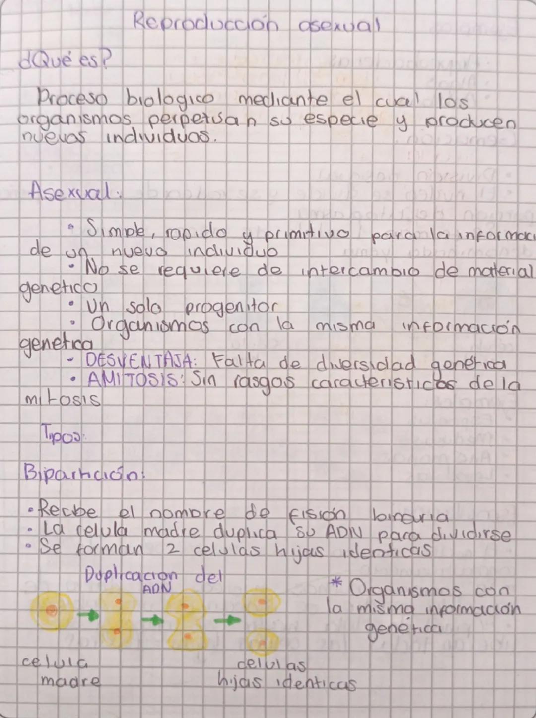 Qué esp
Reproducción asexual
Proceso biologico mediante el cual los
organismos perpetuan su especie y producen
nuevas individuos.
ம
Asexual
