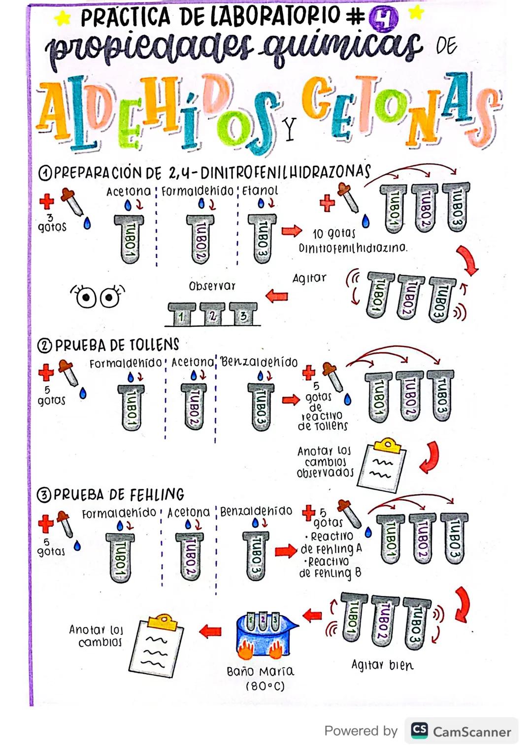 Química grado 11 - Aldehídos y Cetonas