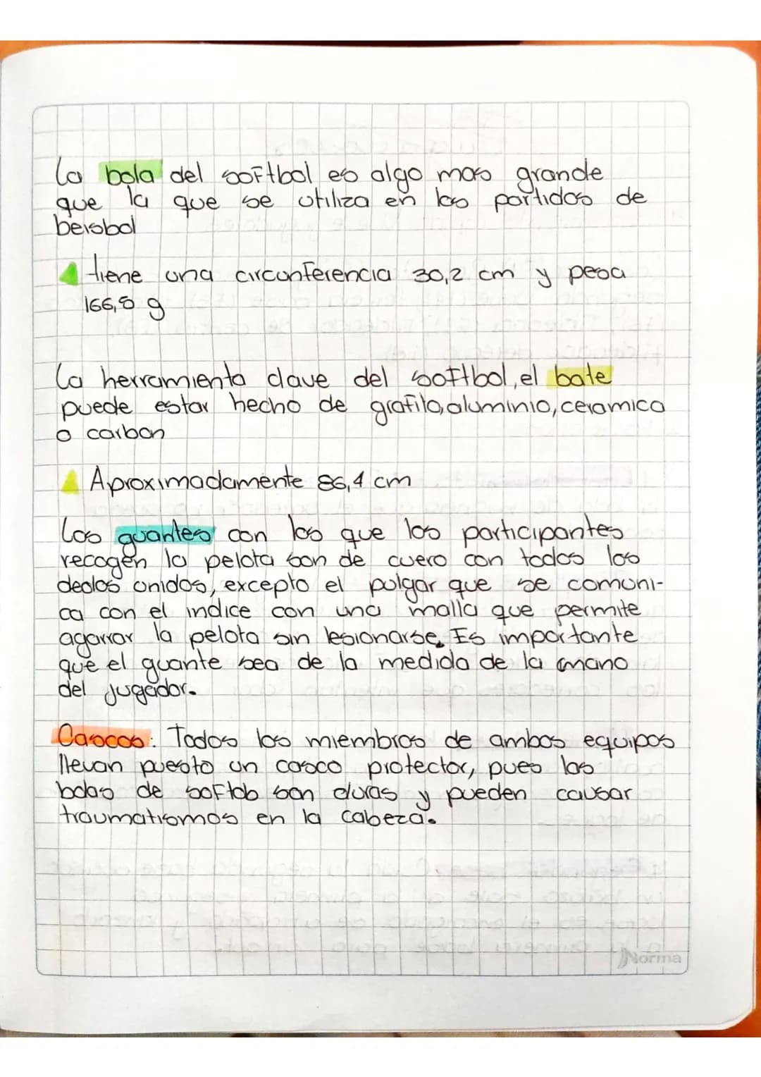 Softbol