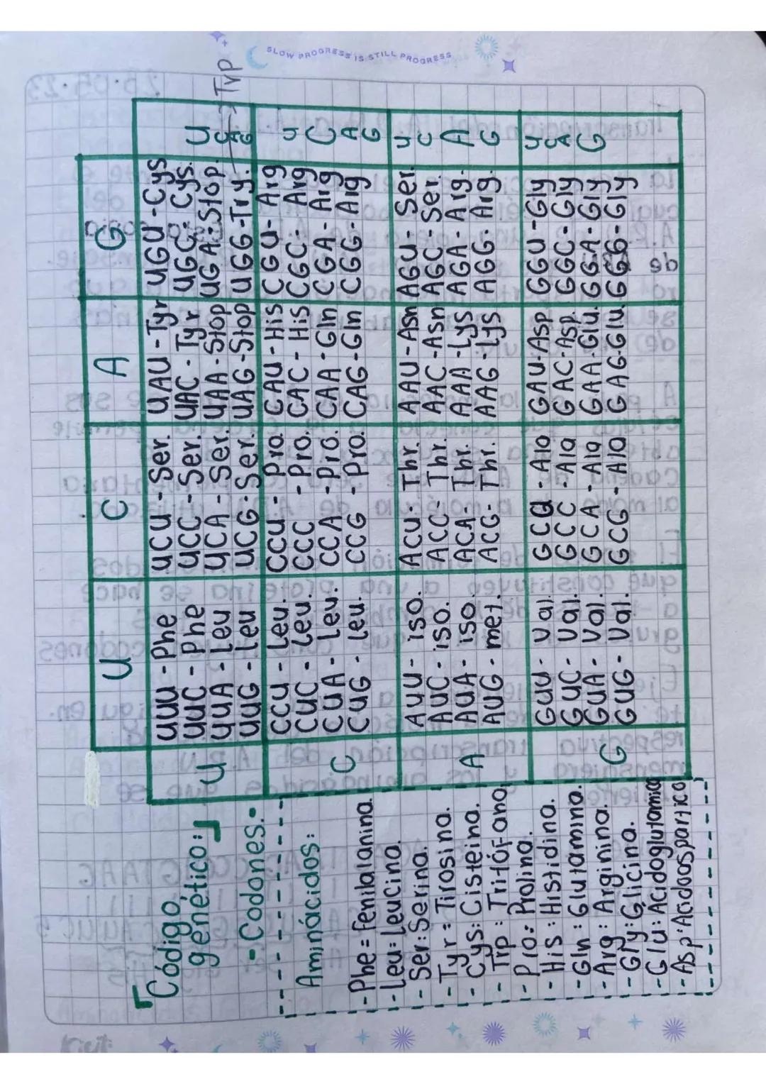 * *
BLOW PROGREE
*Código Genético.*
mayo 12-2023

El código genético es el proceso mediante
el cual, la información genética contenida
en la