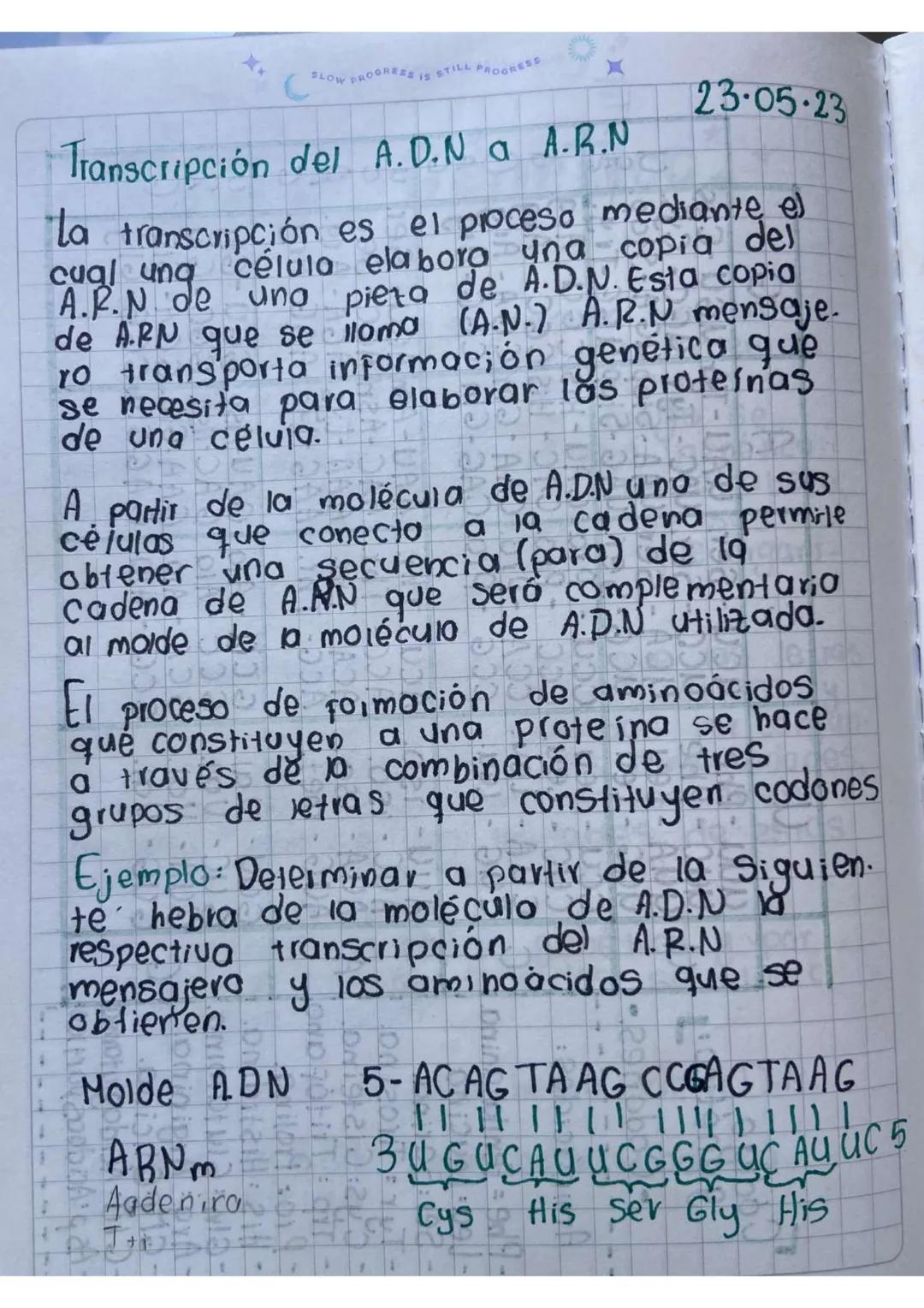 * *
BLOW PROGREE
*Código Genético.*
mayo 12-2023

El código genético es el proceso mediante
el cual, la información genética contenida
en la