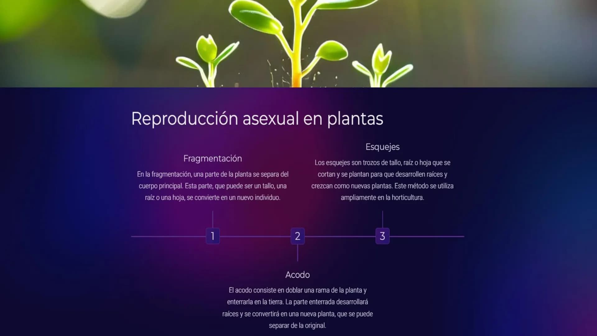 Introducción a la
Reproducción en
Seres Vivos
La reproducción es un proceso biológico fundamental para la perpetuación de la
vida. Todos los