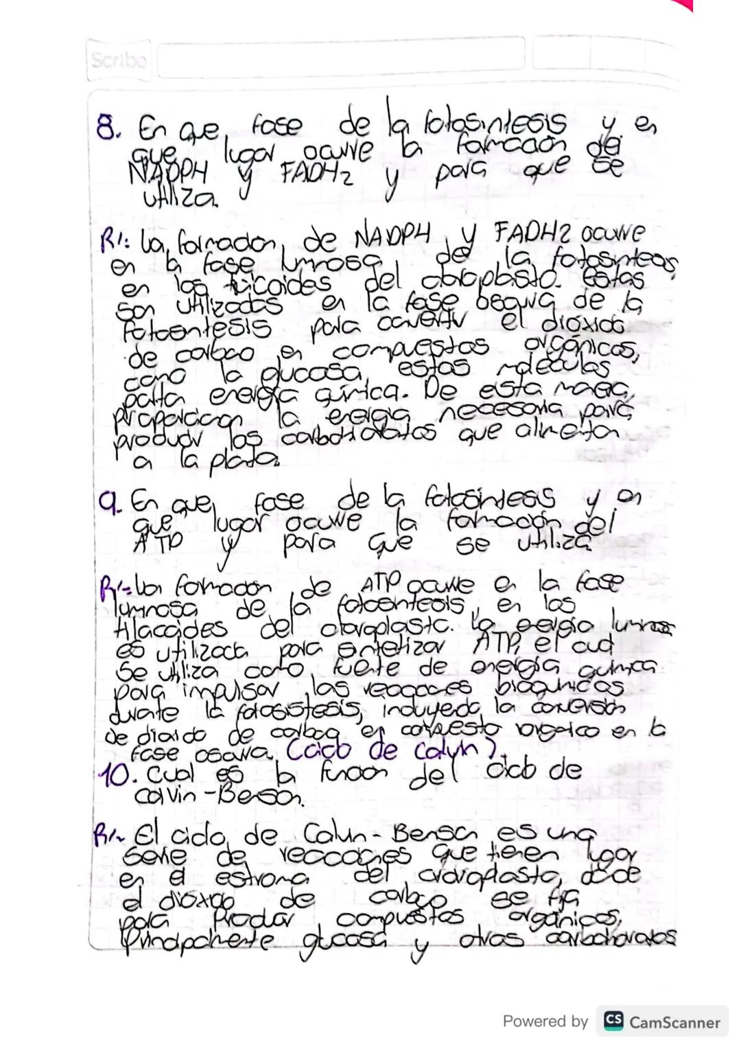 Scribe
3. Dibuje un doroplasto
famen
Patase nasa
rocodo
de la
las partes
cade cawe
dla fase Foronde perdia flosintass
energia
-de
На
uz
PŁAD