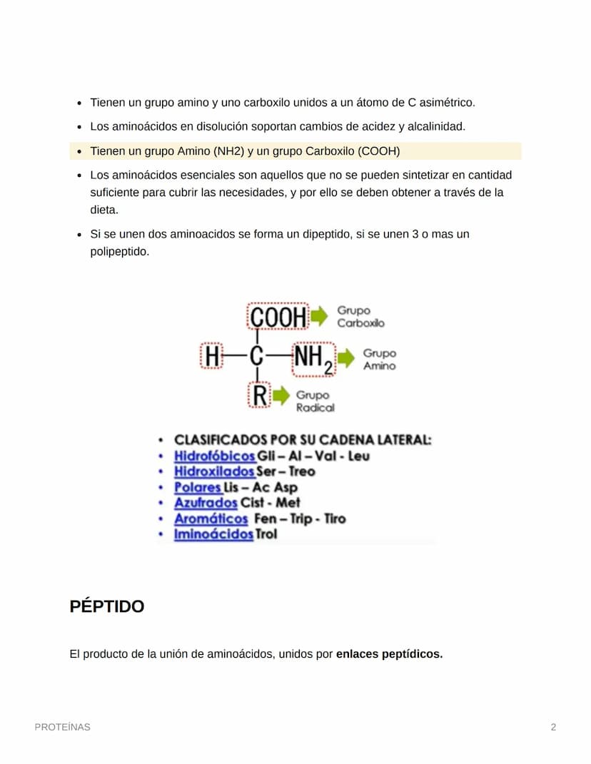PROTEÍNAS
• Están compuestas por aminoácidos (monómero)
• Se une por enlaces petídicos
• Son compuestos cuaternarios (CHON) PS→ Opcionales (