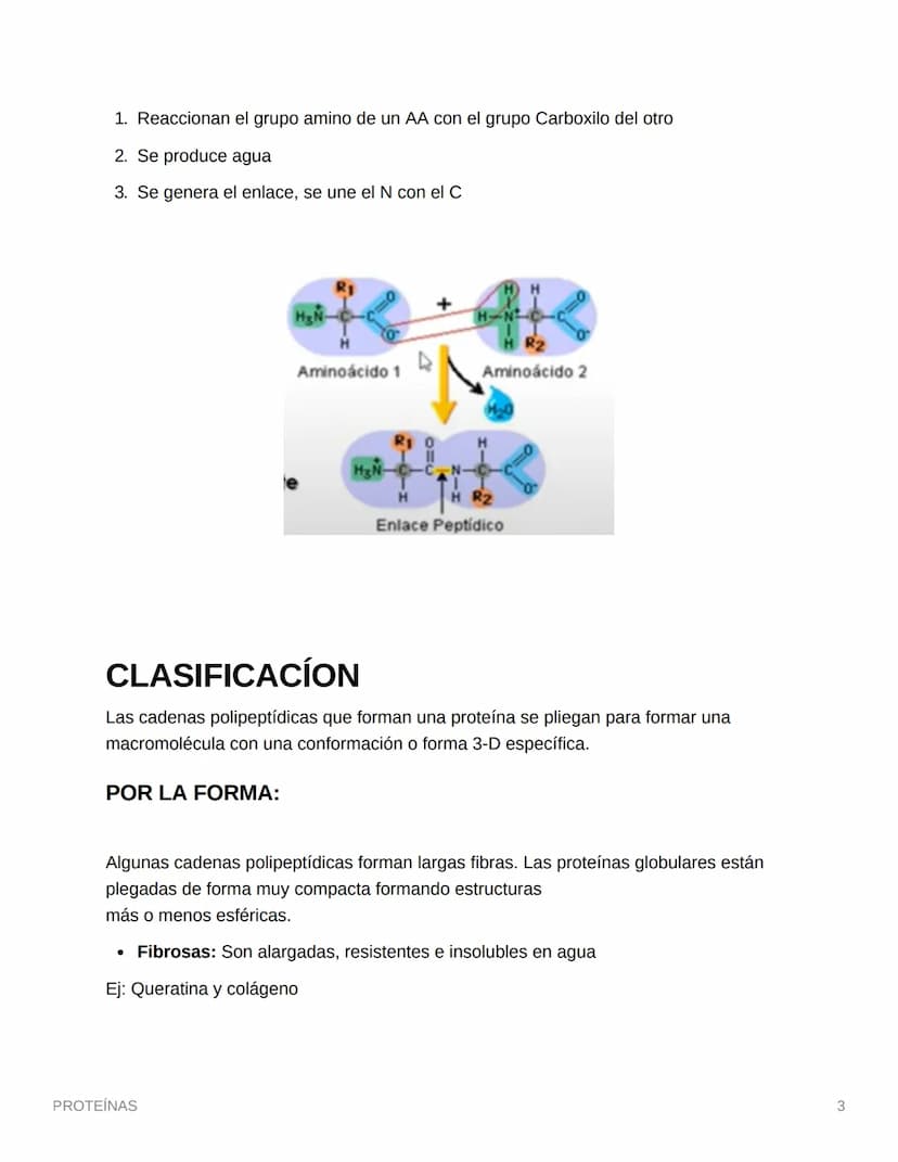 PROTEÍNAS
• Están compuestas por aminoácidos (monómero)
• Se une por enlaces petídicos
• Son compuestos cuaternarios (CHON) PS→ Opcionales (