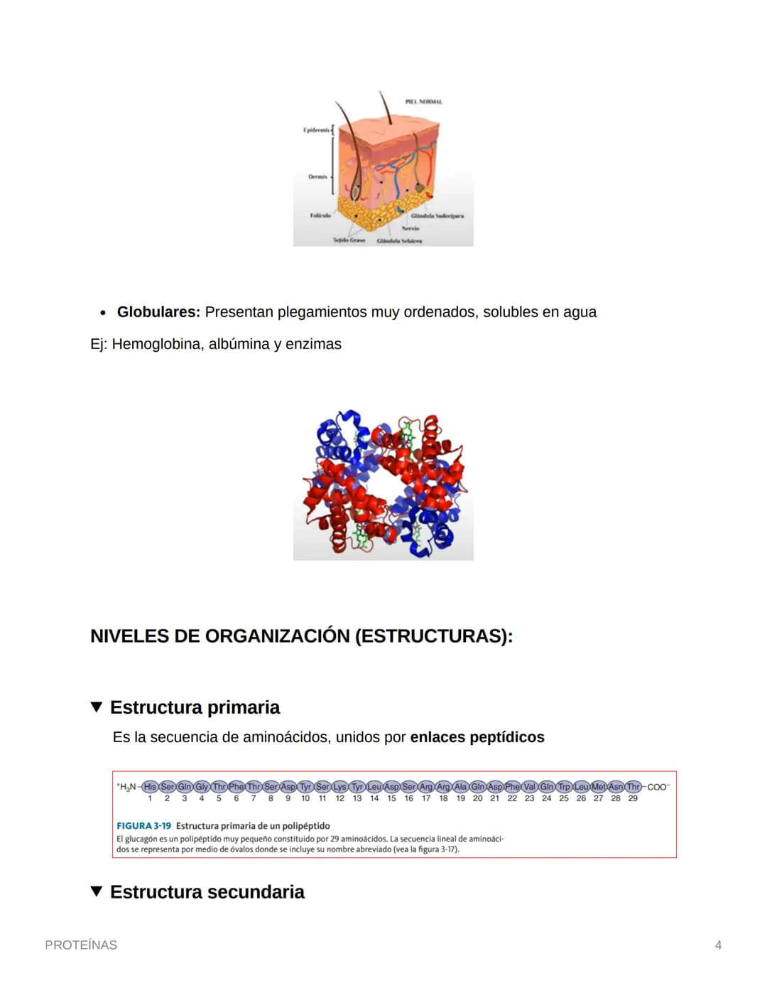 PROTEÍNAS
• Están compuestas por aminoácidos (monómero)
• Se une por enlaces petídicos
• Son compuestos cuaternarios (CHON) PS→ Opcionales (