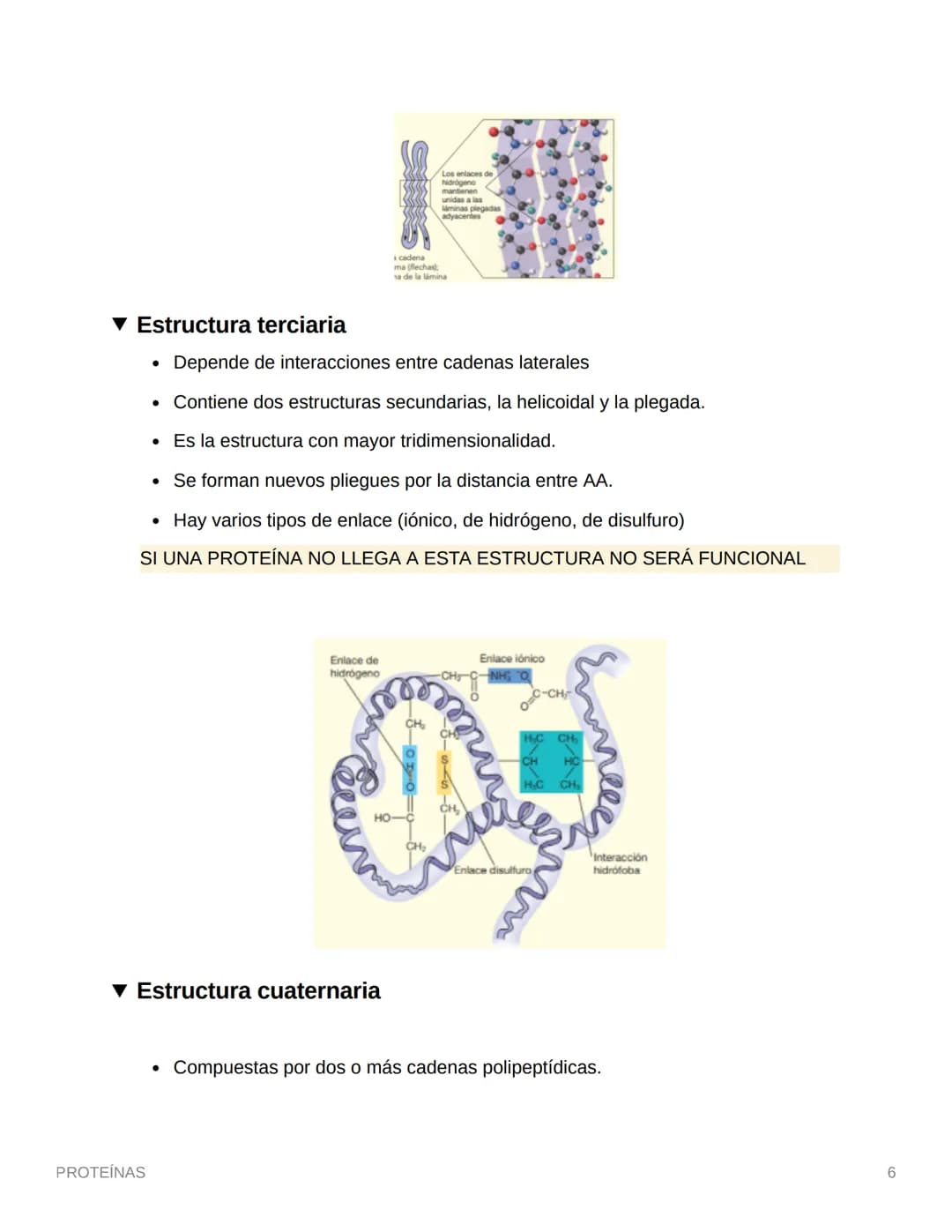 PROTEÍNAS
• Están compuestas por aminoácidos (monómero)
• Se une por enlaces petídicos
• Son compuestos cuaternarios (CHON) PS→ Opcionales (