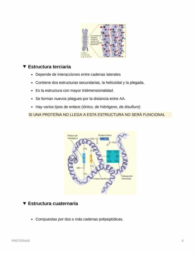 PROTEÍNAS
• Están compuestas por aminoácidos (monómero)
• Se une por enlaces petídicos
• Son compuestos cuaternarios (CHON) PS→ Opcionales (