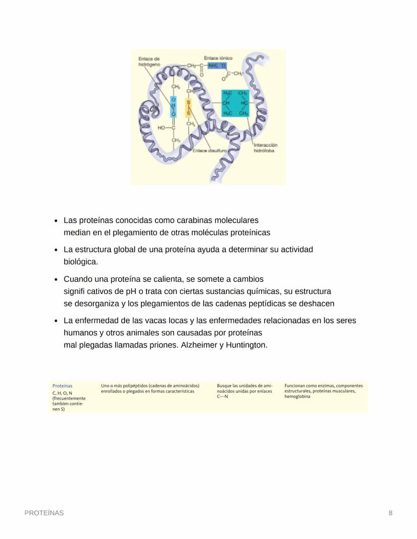 PROTEÍNAS
• Están compuestas por aminoácidos (monómero)
• Se une por enlaces petídicos
• Son compuestos cuaternarios (CHON) PS→ Opcionales (