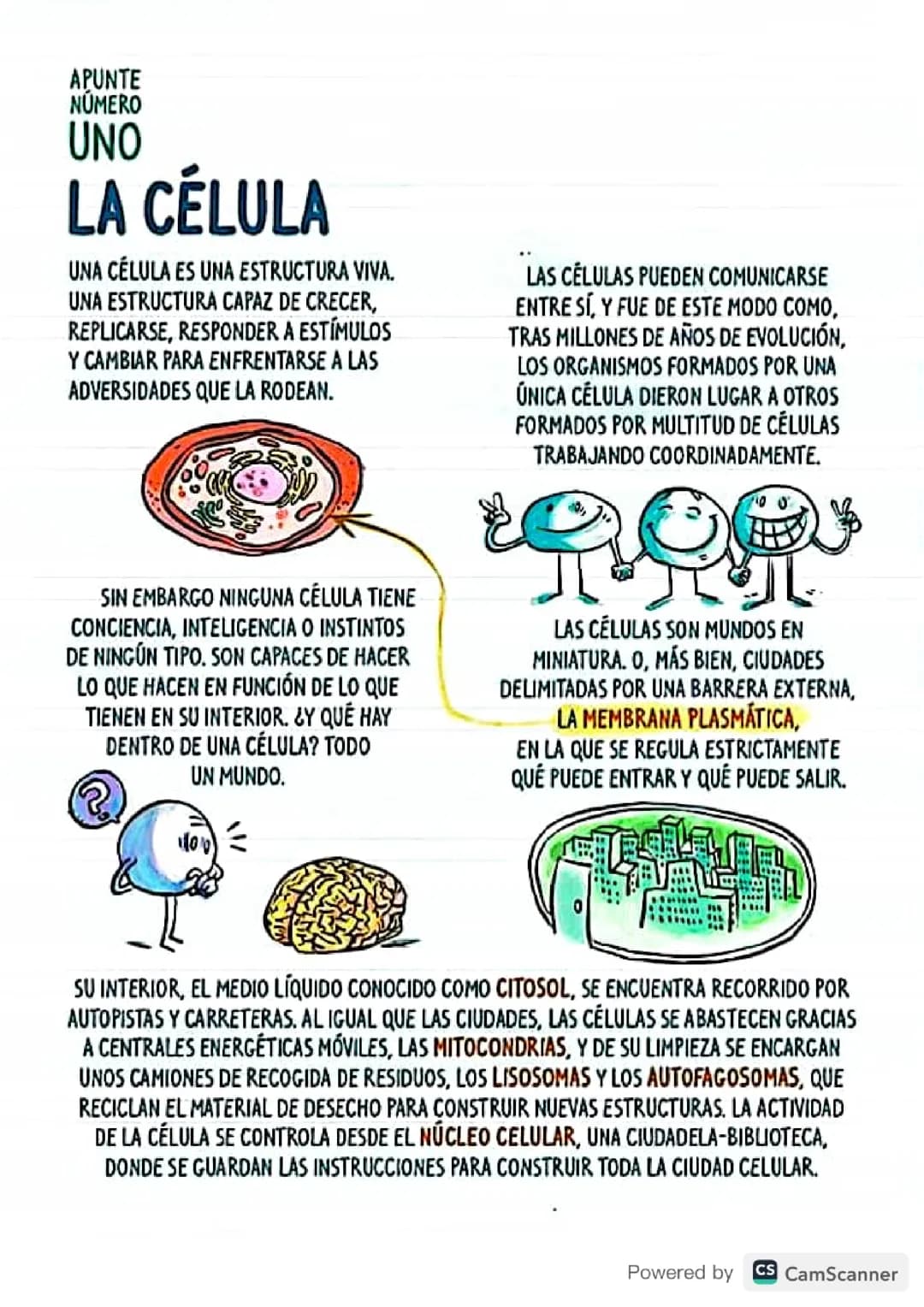 Que es la célula 