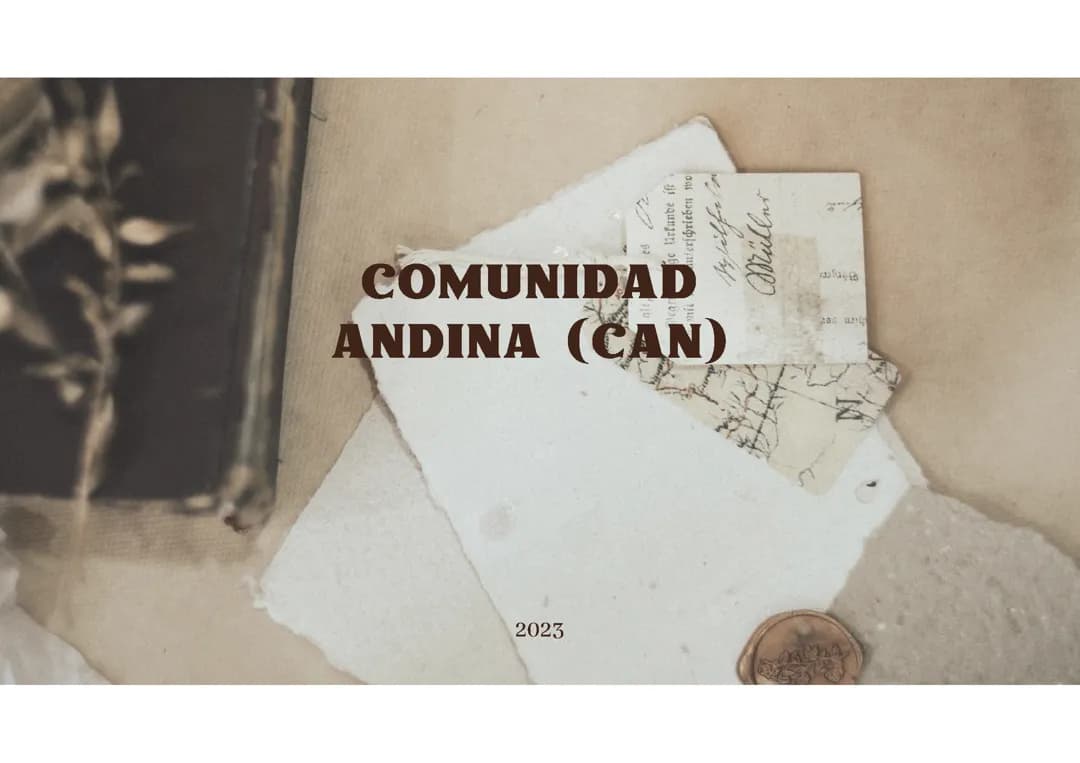 Comunidad Andina de Naciones 