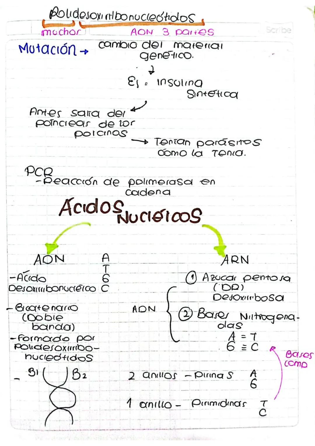 Acidos
Melscher
en 1869 publica unos experimentos
EL FISICO
Sobre células
PUS = ata que entre Glob.
NS
Antigenos
blancos
(Bacterias)
Sustanc