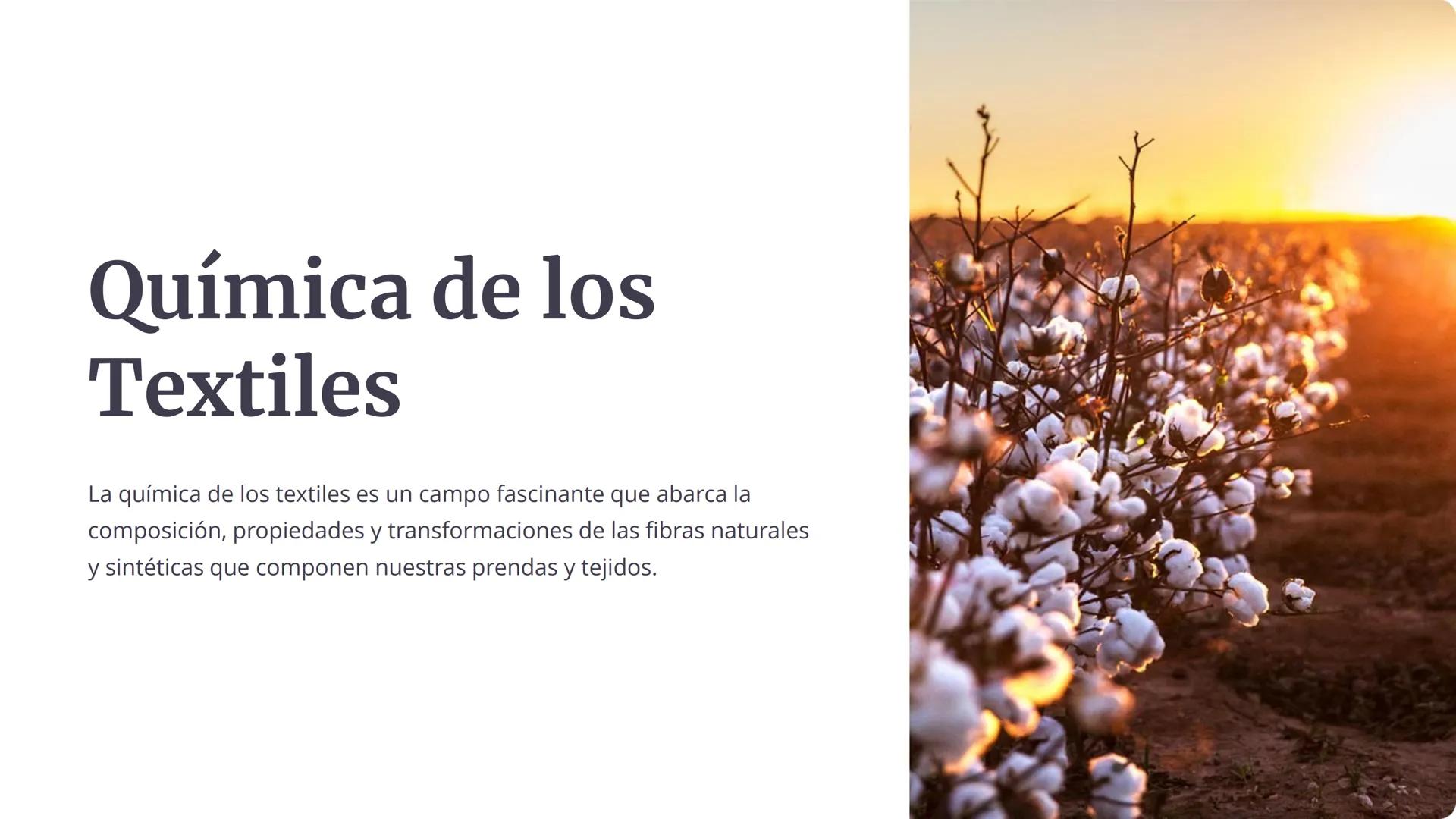 # Química de los
Textiles

La química de los textiles es un campo fascinante que abarca la
composición, propiedades y transformaciones de la