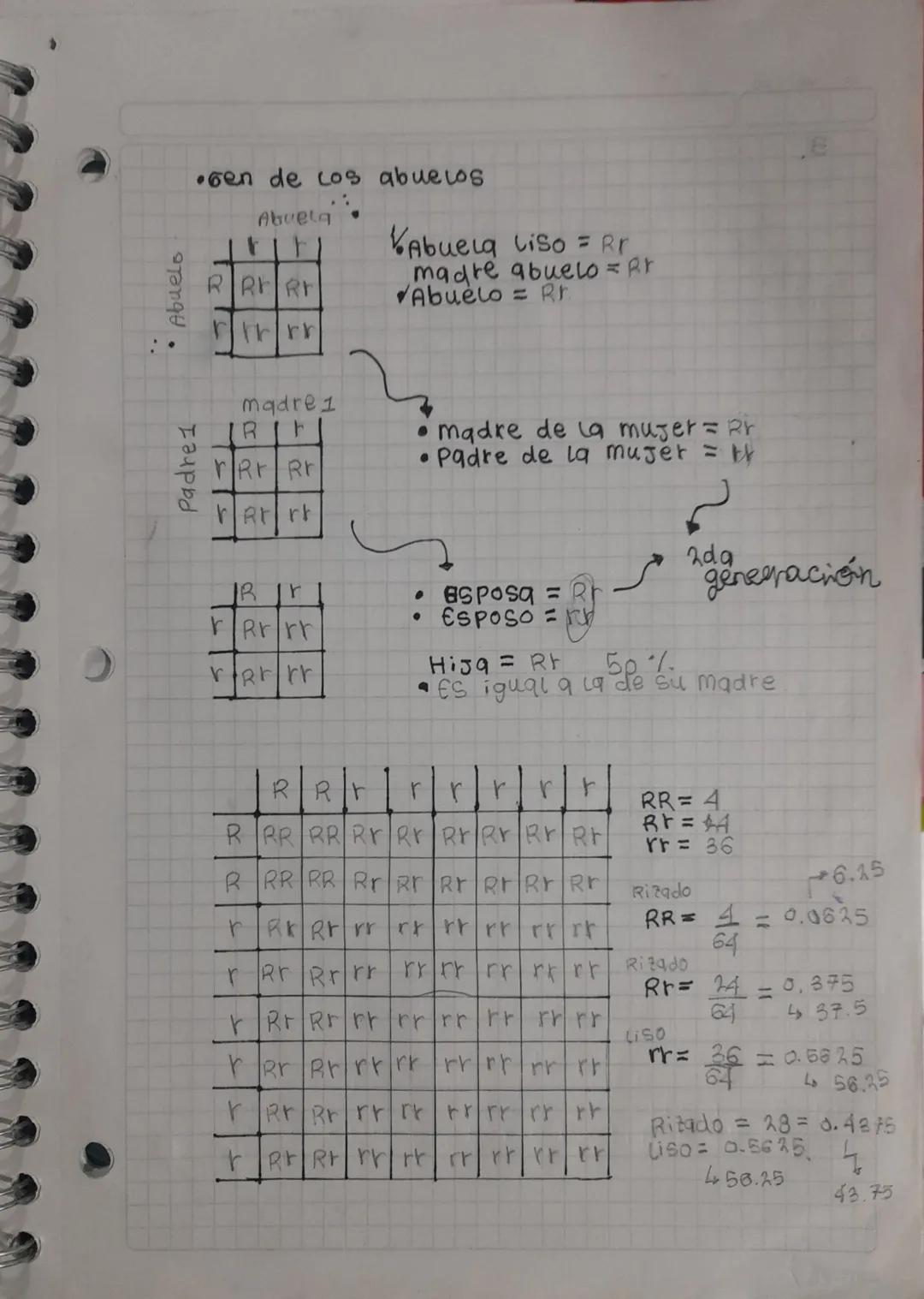• mutacioness
chomoscomicato
Poliploidia Aneuploid detecciones. Evanstocacions Inversiones
Presencia La altera-
de conjunción en el
tos adic