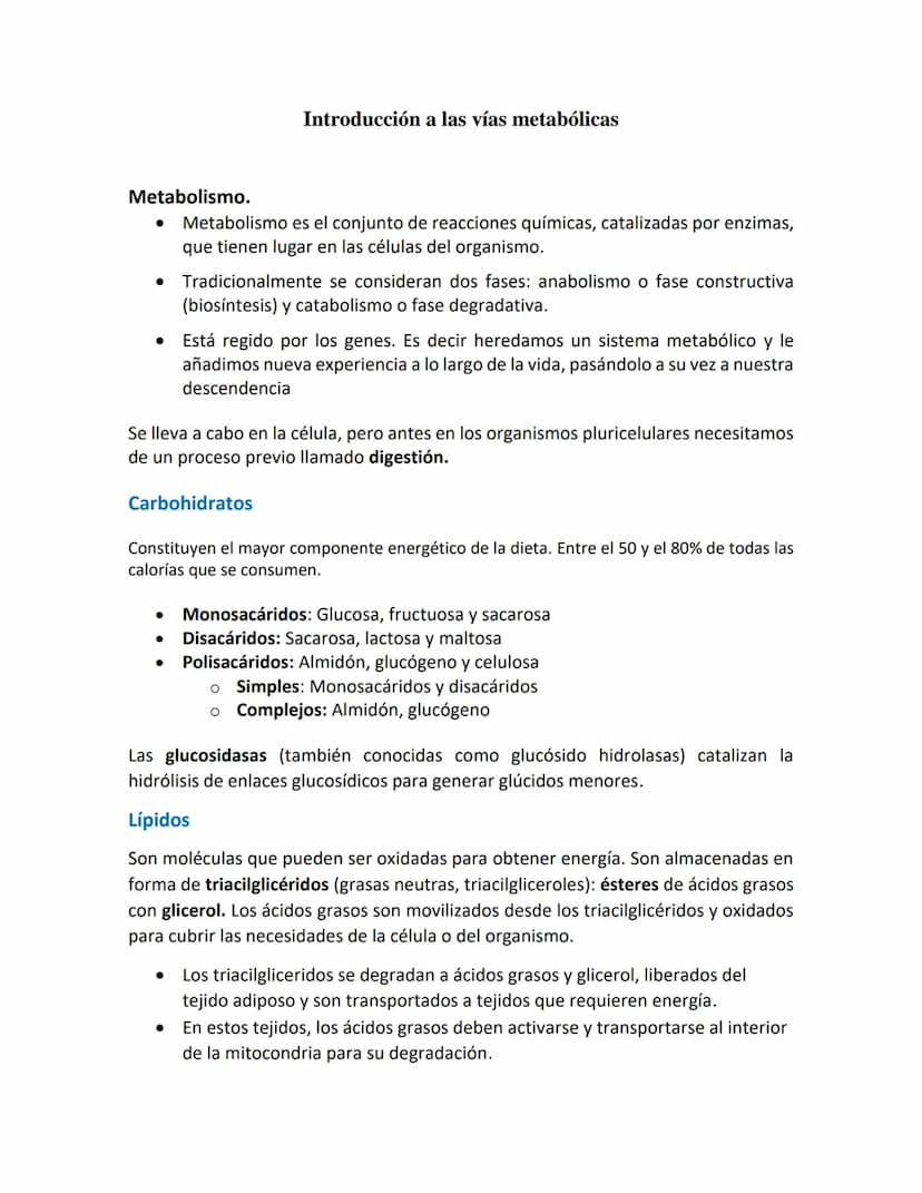 Introducción a las vías metabólicas
Metabolismo.
.
•
•
Metabolismo es el conjunto de reacciones químicas, catalizadas por enzimas,
que tiene