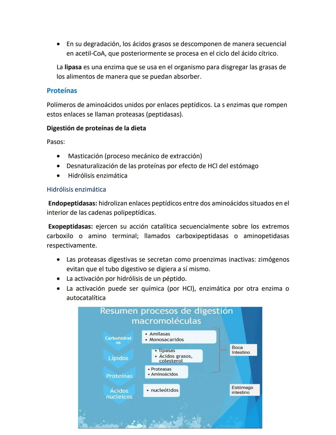 Introducción a las vías metabólicas
Metabolismo.
.
•
•
Metabolismo es el conjunto de reacciones químicas, catalizadas por enzimas,
que tiene