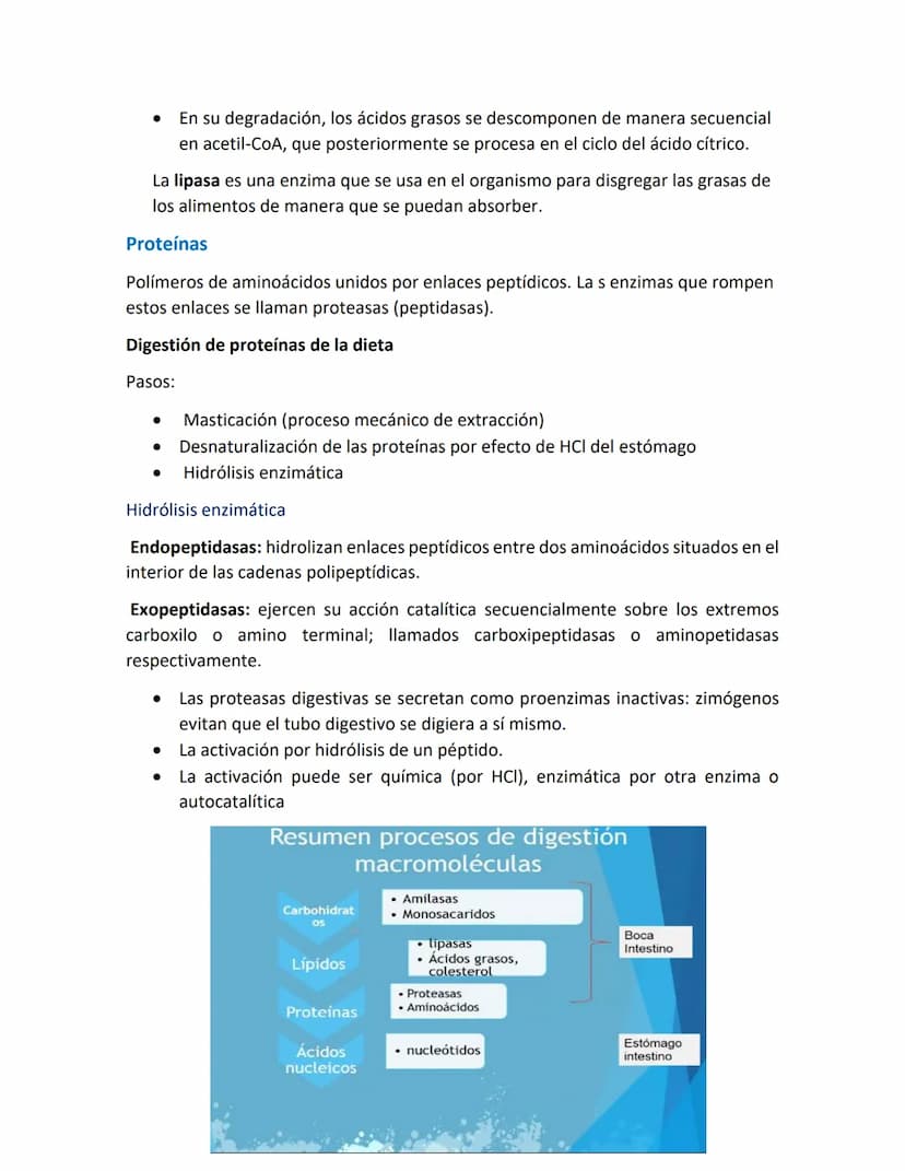 Introducción a las vías metabólicas
Metabolismo.
.
•
•
Metabolismo es el conjunto de reacciones químicas, catalizadas por enzimas,
que tiene