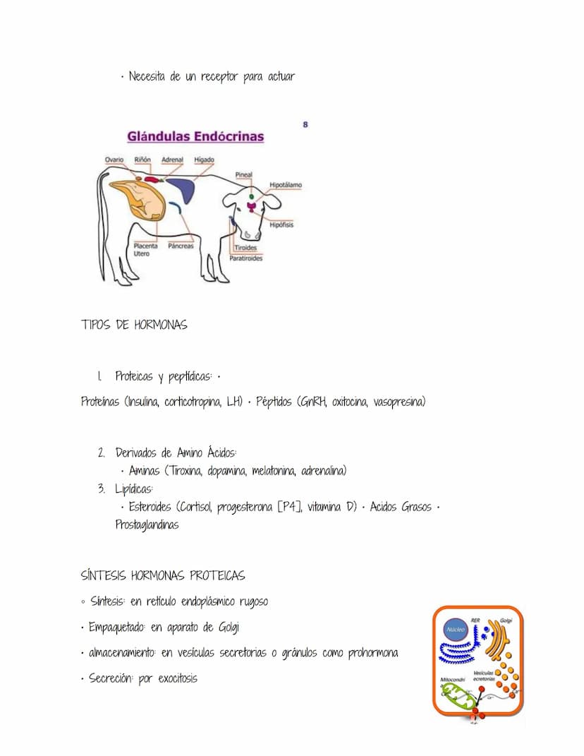 HOMEOSTASIS
Es la propiedad de un sistema abierto de regular su medio interno para mantener unas
condiciones estables, mediante múltiples aj