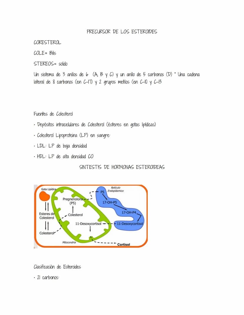 HOMEOSTASIS
Es la propiedad de un sistema abierto de regular su medio interno para mantener unas
condiciones estables, mediante múltiples aj