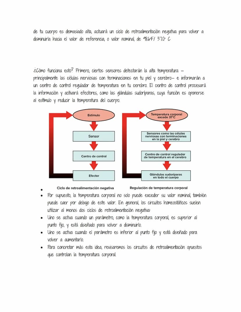 HOMEOSTASIS
Es la propiedad de un sistema abierto de regular su medio interno para mantener unas
condiciones estables, mediante múltiples aj