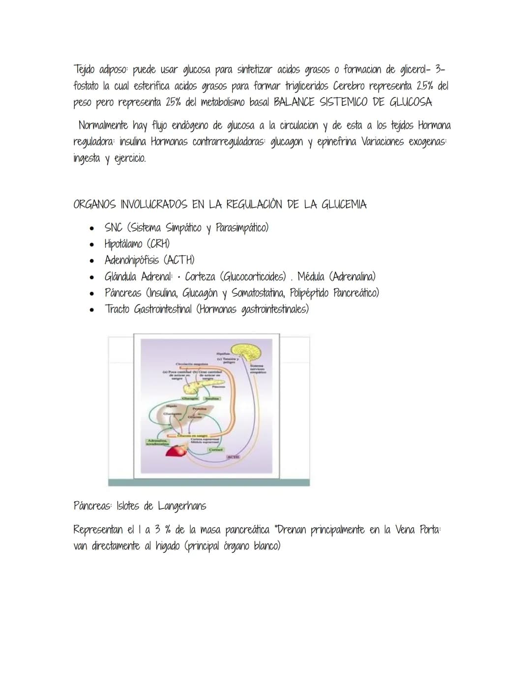 HOMEOSTASIS
Es la propiedad de un sistema abierto de regular su medio interno para mantener unas
condiciones estables, mediante múltiples aj