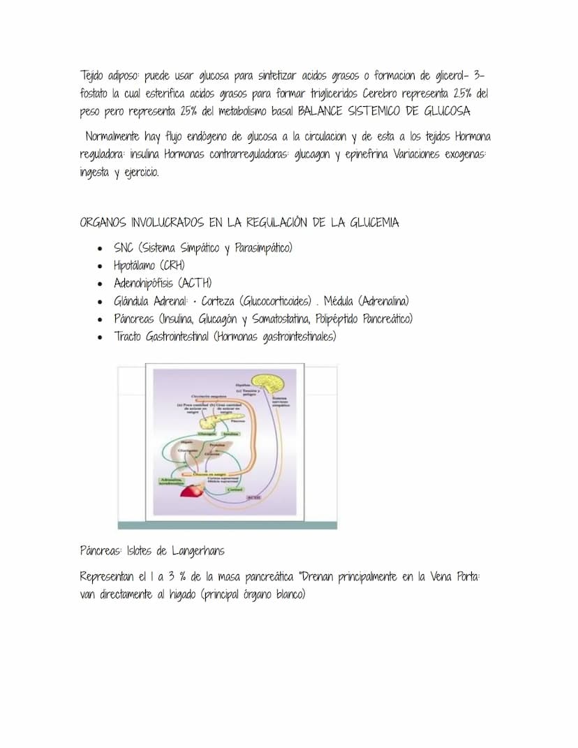 HOMEOSTASIS
Es la propiedad de un sistema abierto de regular su medio interno para mantener unas
condiciones estables, mediante múltiples aj