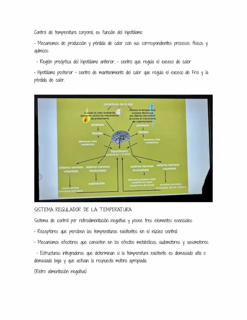 HOMEOSTASIS
Es la propiedad de un sistema abierto de regular su medio interno para mantener unas
condiciones estables, mediante múltiples aj
