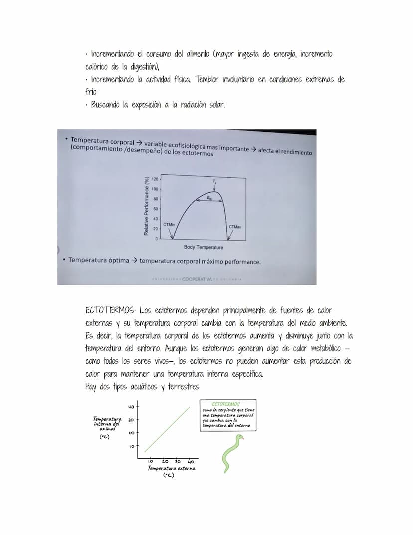 HOMEOSTASIS
Es la propiedad de un sistema abierto de regular su medio interno para mantener unas
condiciones estables, mediante múltiples aj