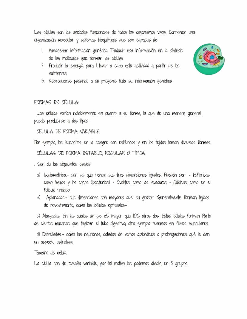 HOMEOSTASIS
Es la propiedad de un sistema abierto de regular su medio interno para mantener unas
condiciones estables, mediante múltiples aj