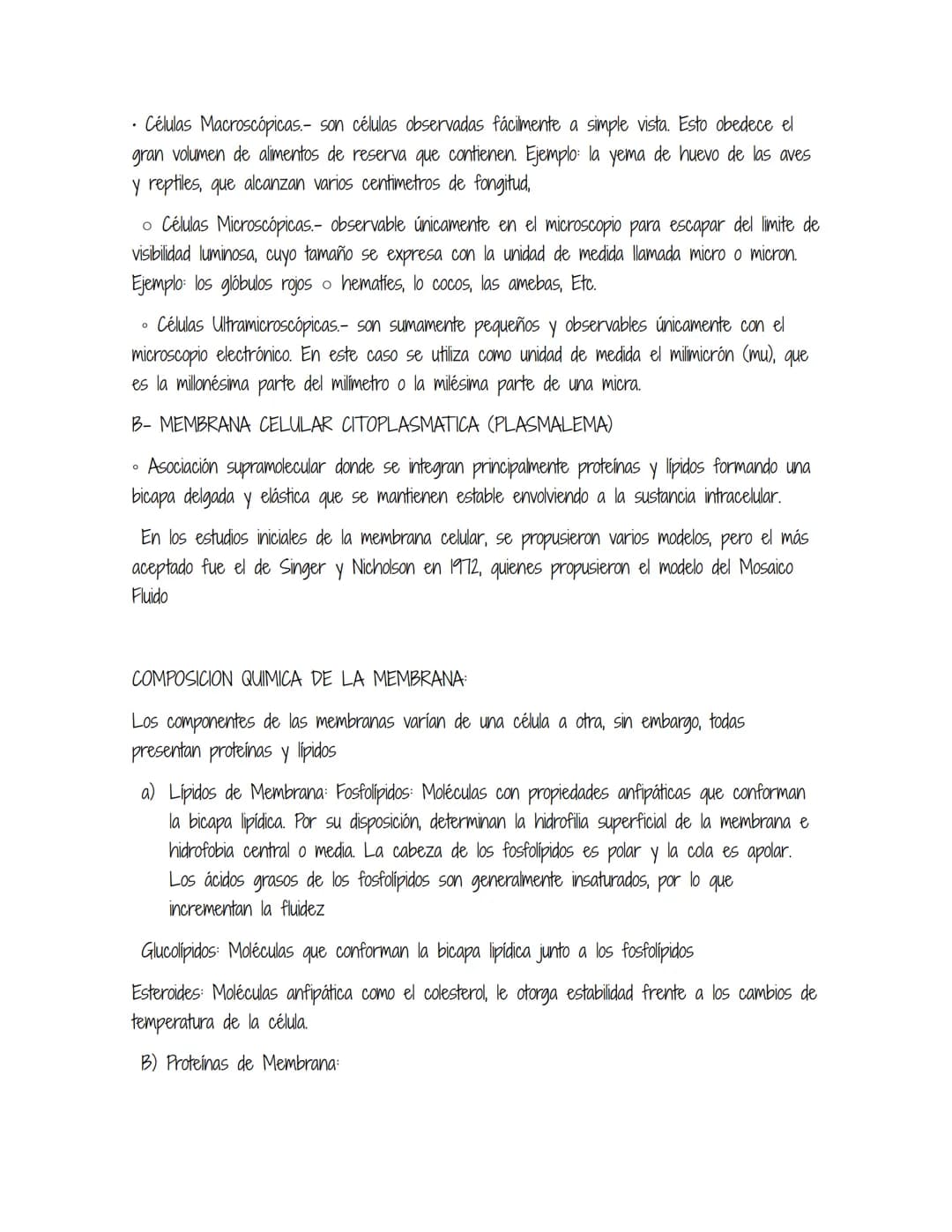 HOMEOSTASIS
Es la propiedad de un sistema abierto de regular su medio interno para mantener unas
condiciones estables, mediante múltiples aj