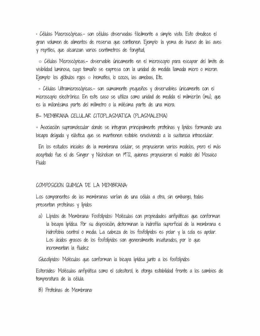 HOMEOSTASIS
Es la propiedad de un sistema abierto de regular su medio interno para mantener unas
condiciones estables, mediante múltiples aj