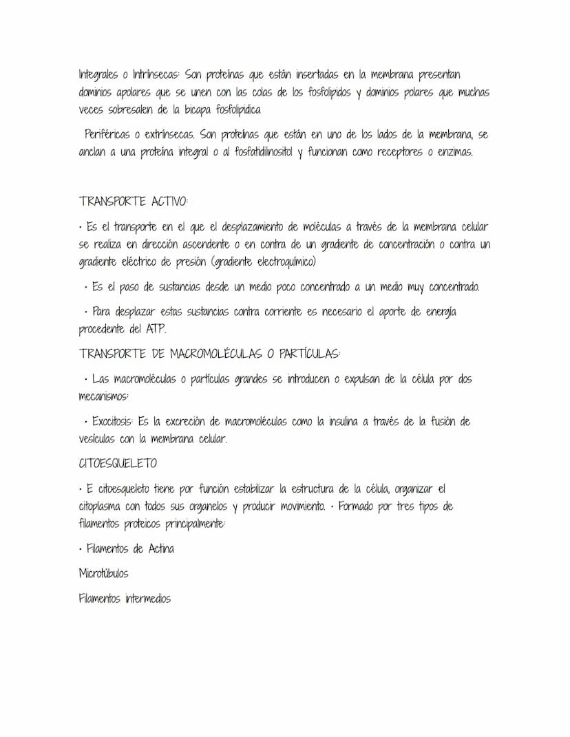 HOMEOSTASIS
Es la propiedad de un sistema abierto de regular su medio interno para mantener unas
condiciones estables, mediante múltiples aj