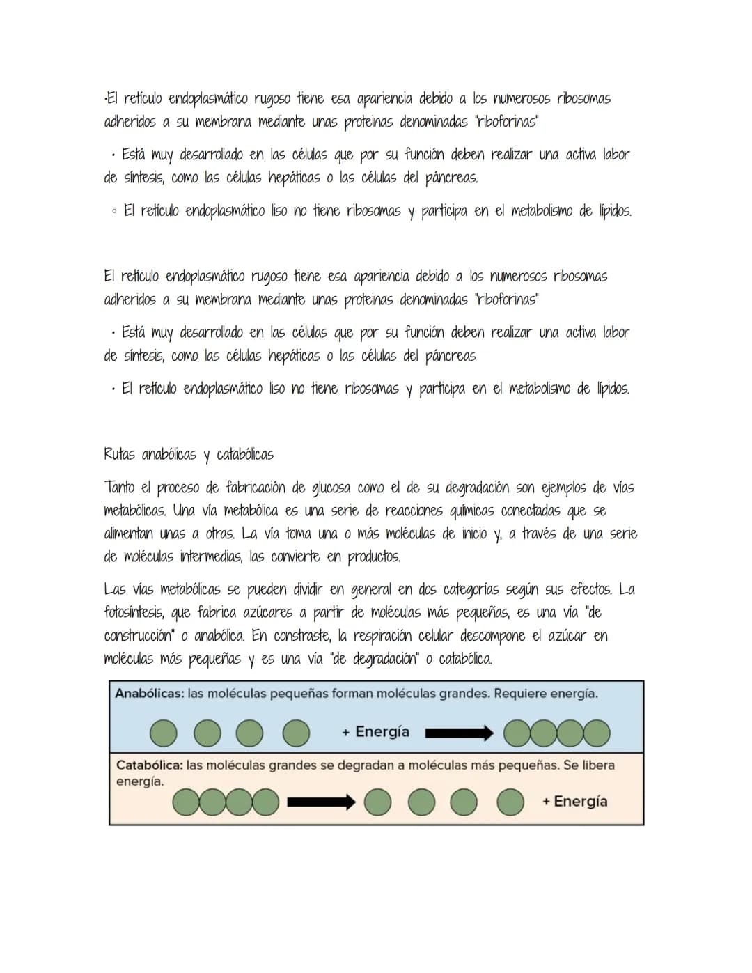 HOMEOSTASIS
Es la propiedad de un sistema abierto de regular su medio interno para mantener unas
condiciones estables, mediante múltiples aj