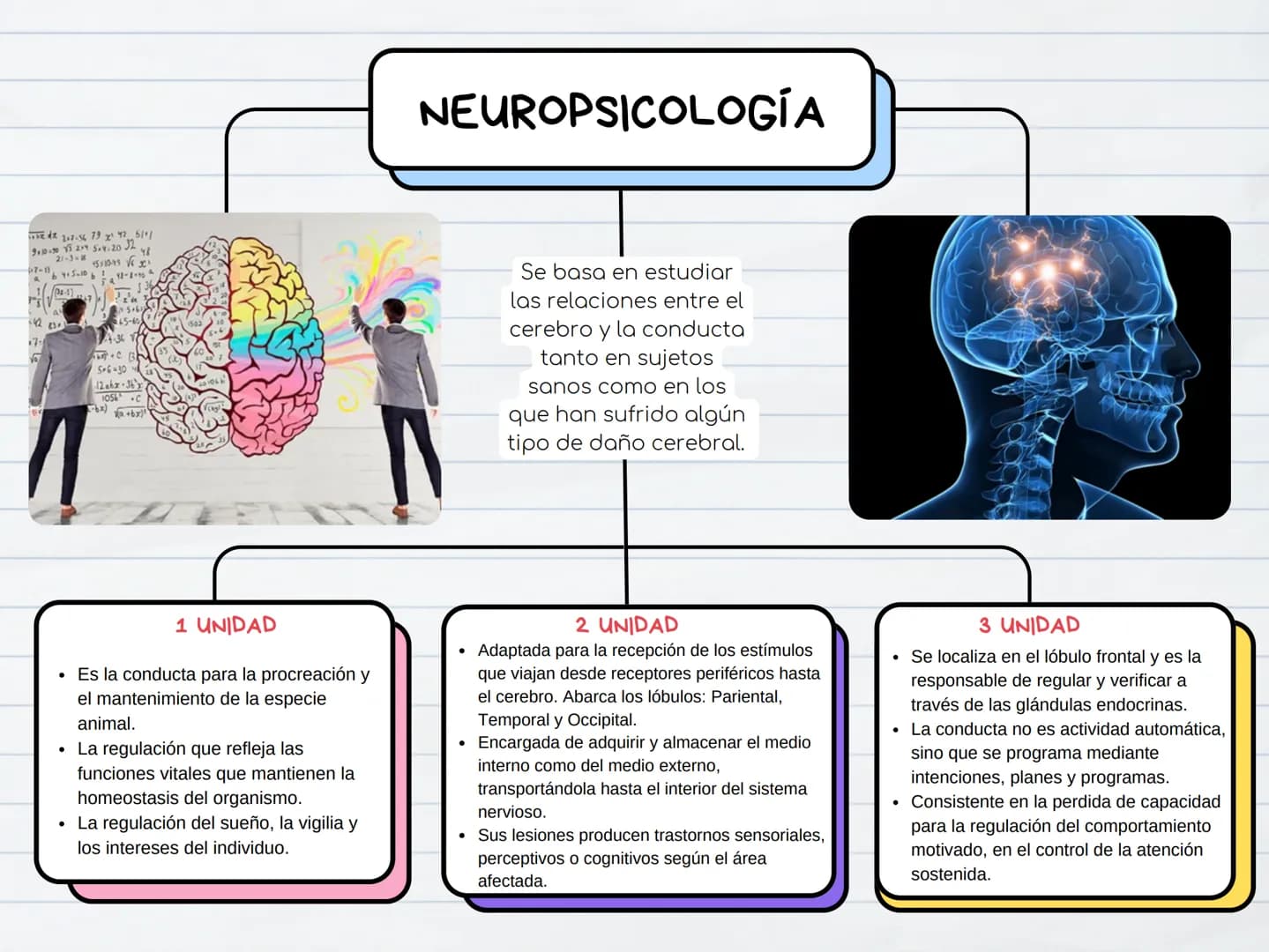 NEUROPSICOLOGÍA
207-56 79 x 42 51°/
910-30 12 520 32
21-3-
48
15310-456x1
+7-134+5=10b11-8-70
17
$65-60
5-6-30
12ahx-36'x
105 C
-6x)
+6x)
Se