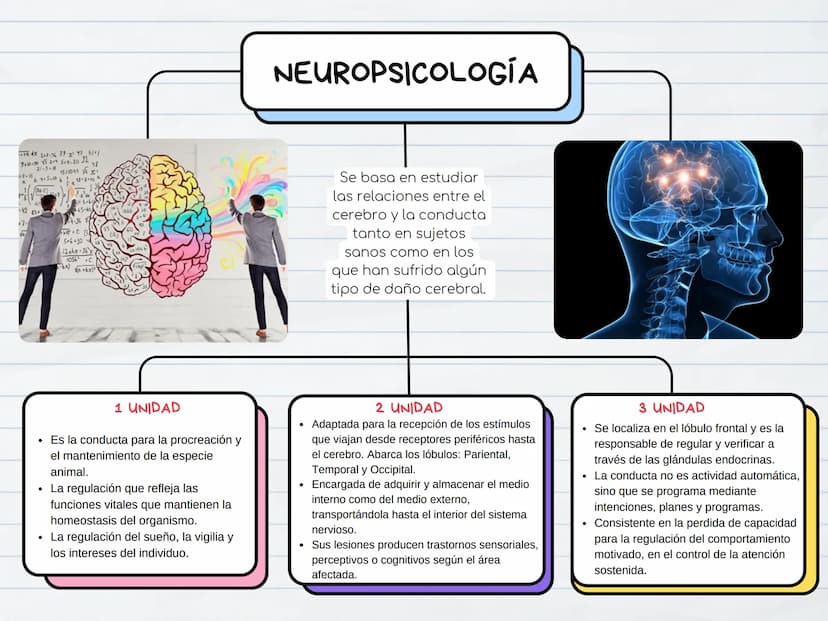 NEUROPSICOLOGÍA
207-56 79 x 42 51°/
910-30 12 520 32
21-3-
48
15310-456x1
+7-134+5=10b11-8-70
17
$65-60
5-6-30
12ahx-36'x
105 C
-6x)
+6x)
Se