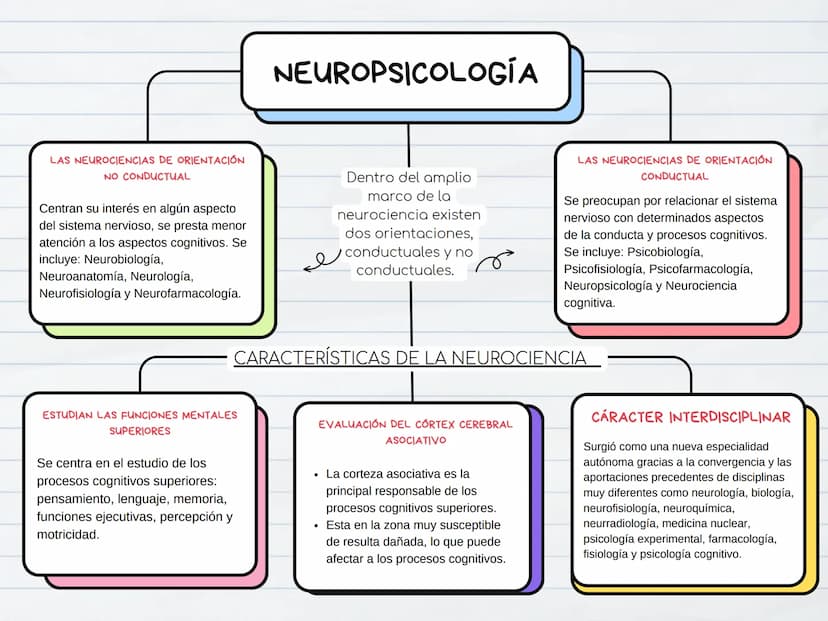 NEUROPSICOLOGÍA
207-56 79 x 42 51°/
910-30 12 520 32
21-3-
48
15310-456x1
+7-134+5=10b11-8-70
17
$65-60
5-6-30
12ahx-36'x
105 C
-6x)
+6x)
Se