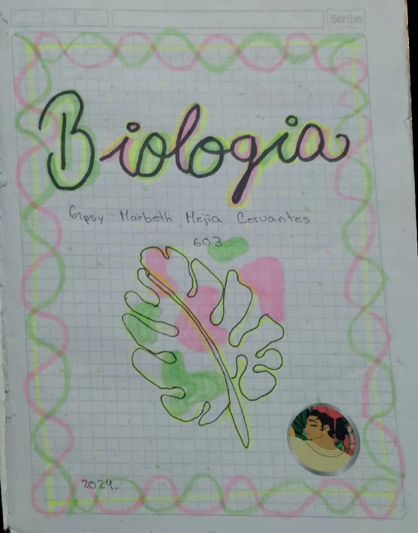 Scribe
Biologia
Gipsy Harbeth Hejia Cervantes
603
2024.