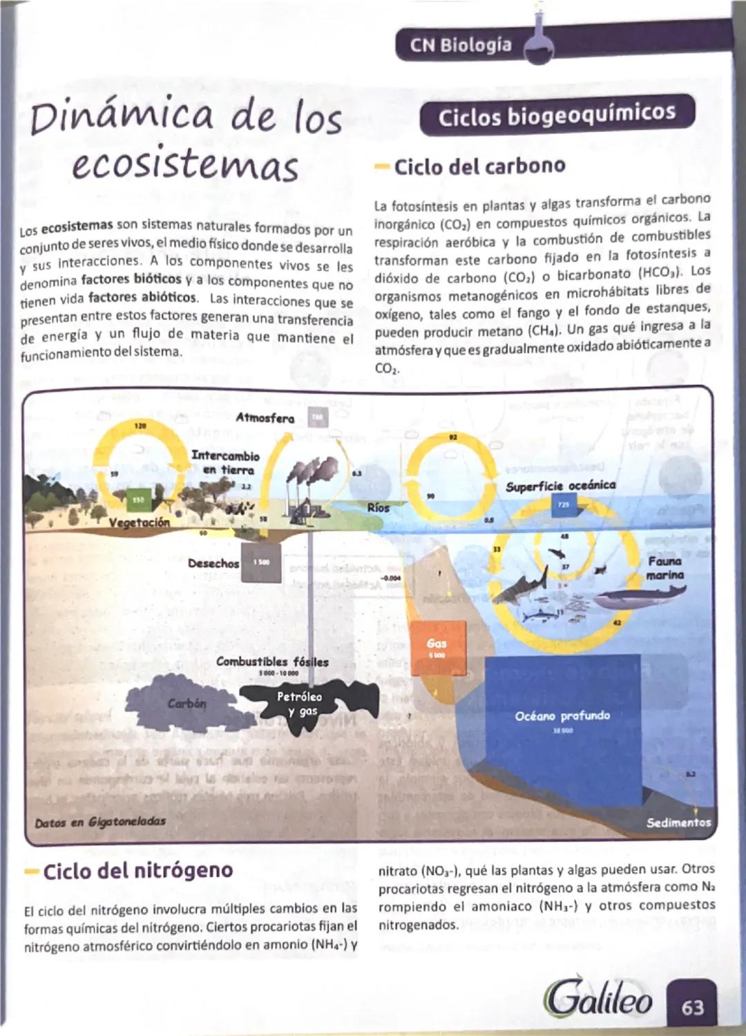 dinámica de los ecosistemas 
