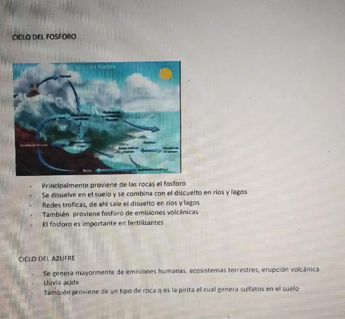 BIOLOGÍA MACRO CLASE 3

CICLOS BIOGEOQUIMICOS

- La energía entre como luz solas y sale como calor
- Ciclo de los elementos químicos que con
