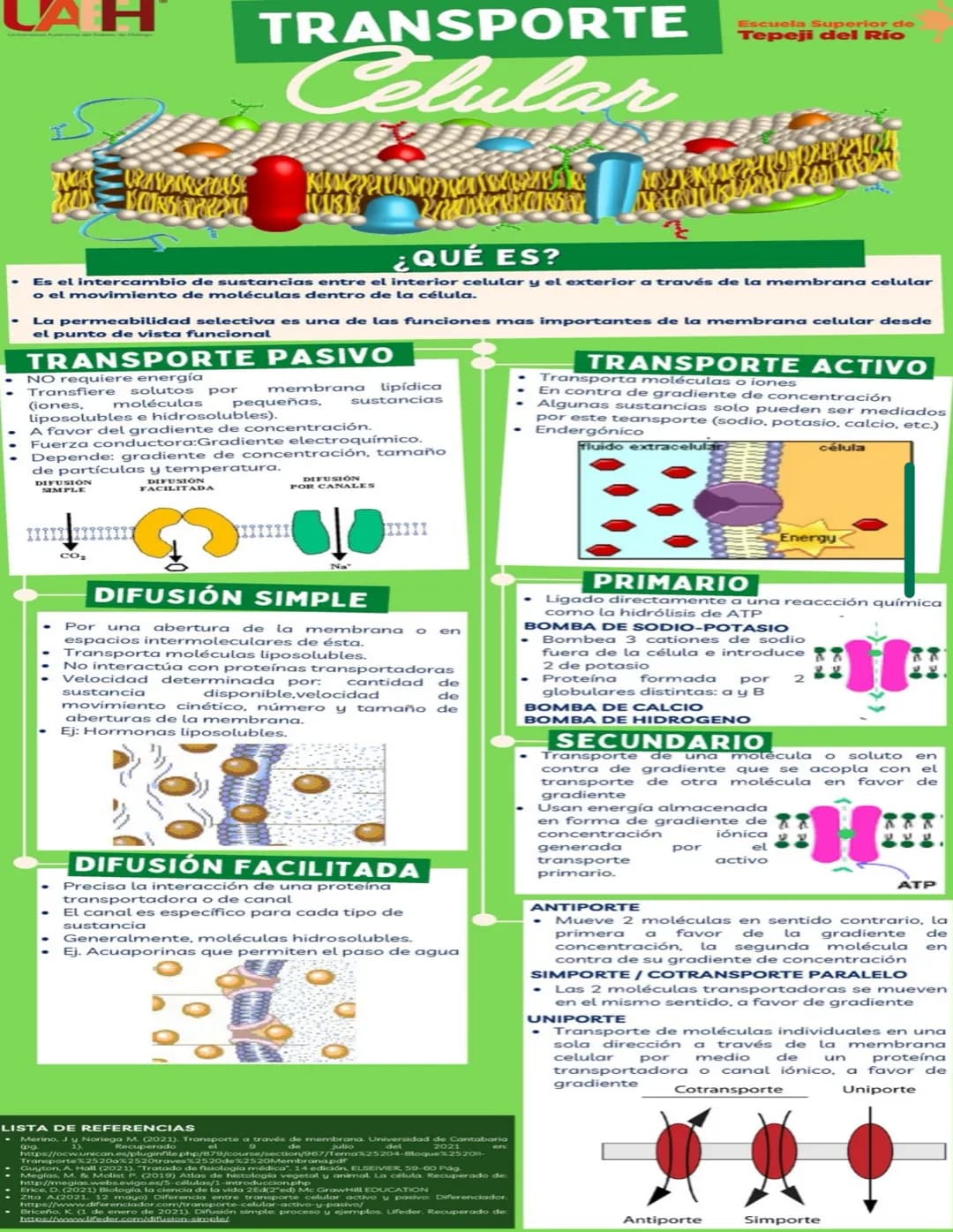 ما
Bioestructura Introducción a las estructuras A
nivel de cuerpo humano
•
•
Anatomía cortar y abrir
=
=
Fisiología estudio de las funciones
