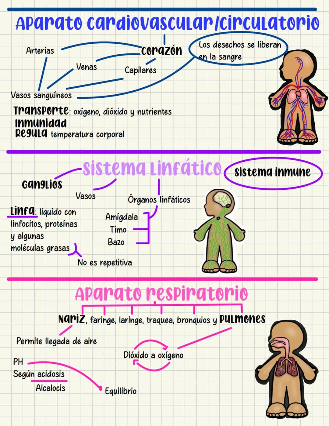 ما
Bioestructura Introducción a las estructuras A
nivel de cuerpo humano
•
•
Anatomía cortar y abrir
=
=
Fisiología estudio de las funciones