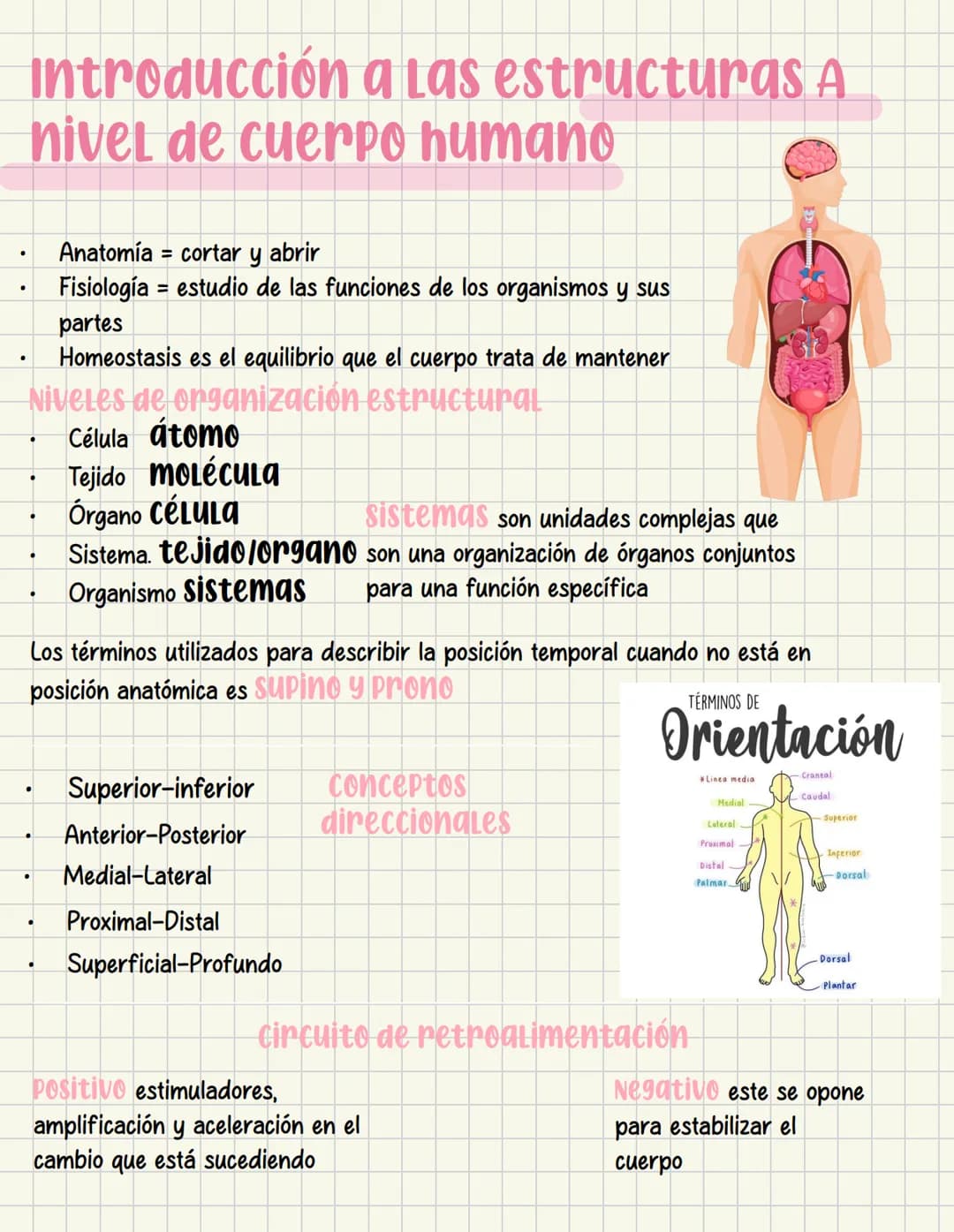 ما
Bioestructura Introducción a las estructuras A
nivel de cuerpo humano
•
•
Anatomía cortar y abrir
=
=
Fisiología estudio de las funciones