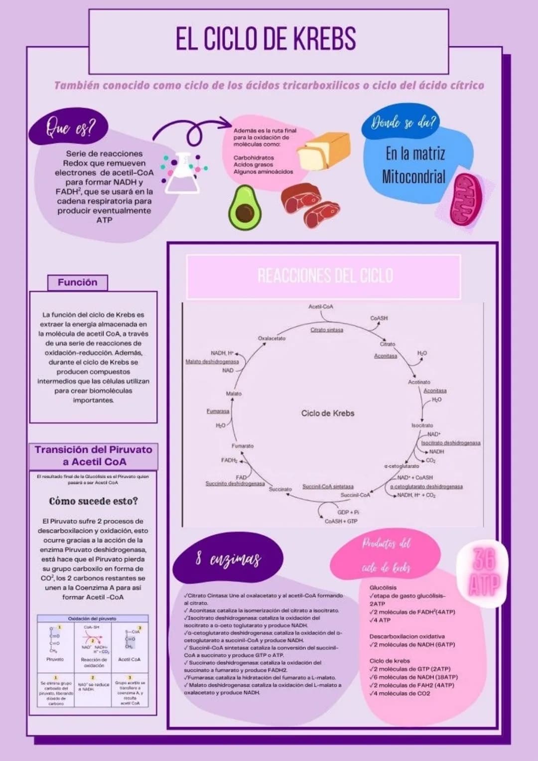 ما
Bioestructura Introducción a las estructuras A
nivel de cuerpo humano
•
•
Anatomía cortar y abrir
=
=
Fisiología estudio de las funciones