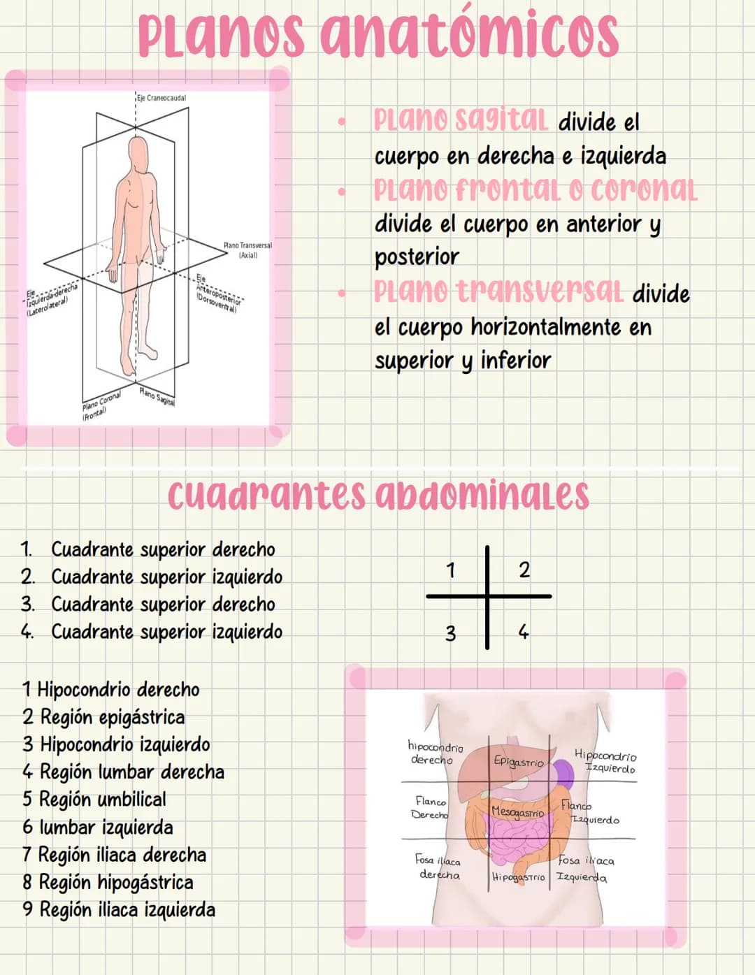 ما
Bioestructura Introducción a las estructuras A
nivel de cuerpo humano
•
•
Anatomía cortar y abrir
=
=
Fisiología estudio de las funciones