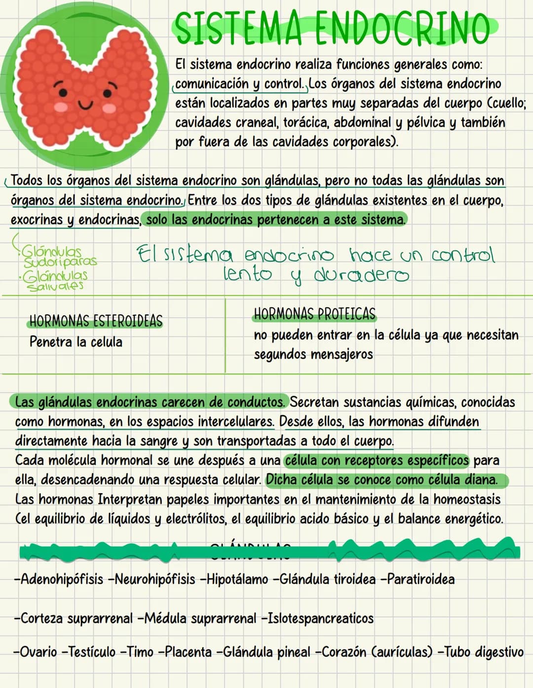 ما
Bioestructura Introducción a las estructuras A
nivel de cuerpo humano
•
•
Anatomía cortar y abrir
=
=
Fisiología estudio de las funciones