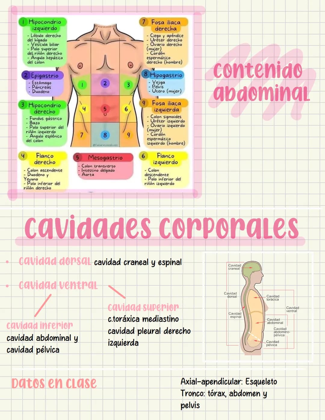 ما
Bioestructura Introducción a las estructuras A
nivel de cuerpo humano
•
•
Anatomía cortar y abrir
=
=
Fisiología estudio de las funciones