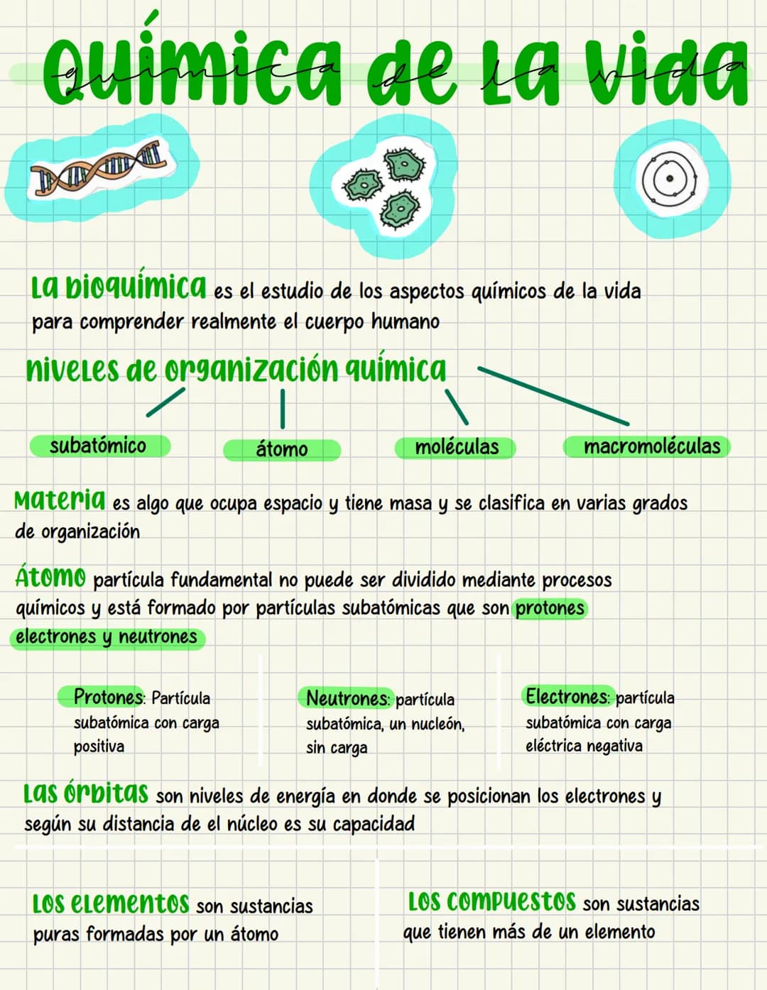 ما
Bioestructura Introducción a las estructuras A
nivel de cuerpo humano
•
•
Anatomía cortar y abrir
=
=
Fisiología estudio de las funciones